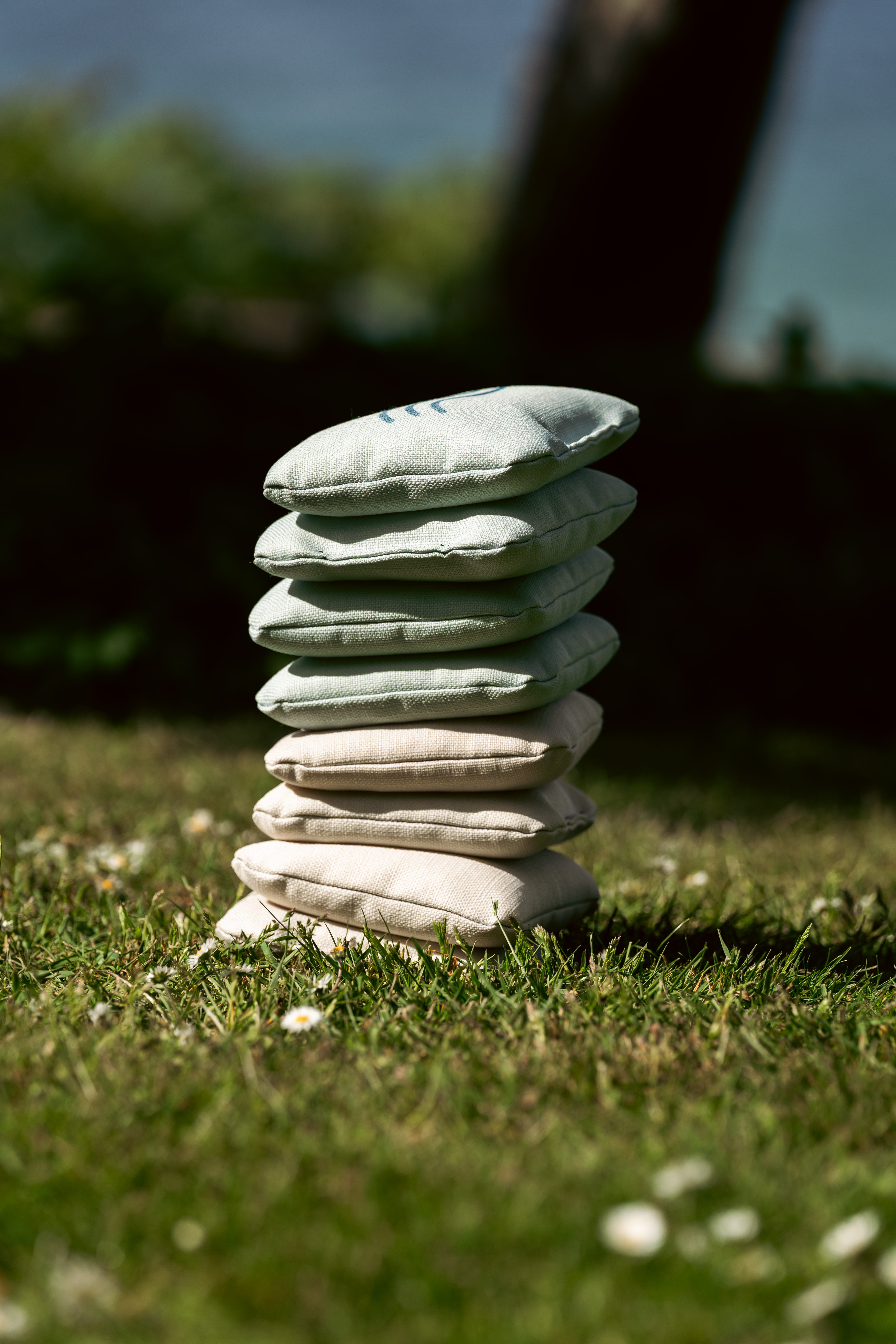 Premium Cornhole Säcke auf einem Board